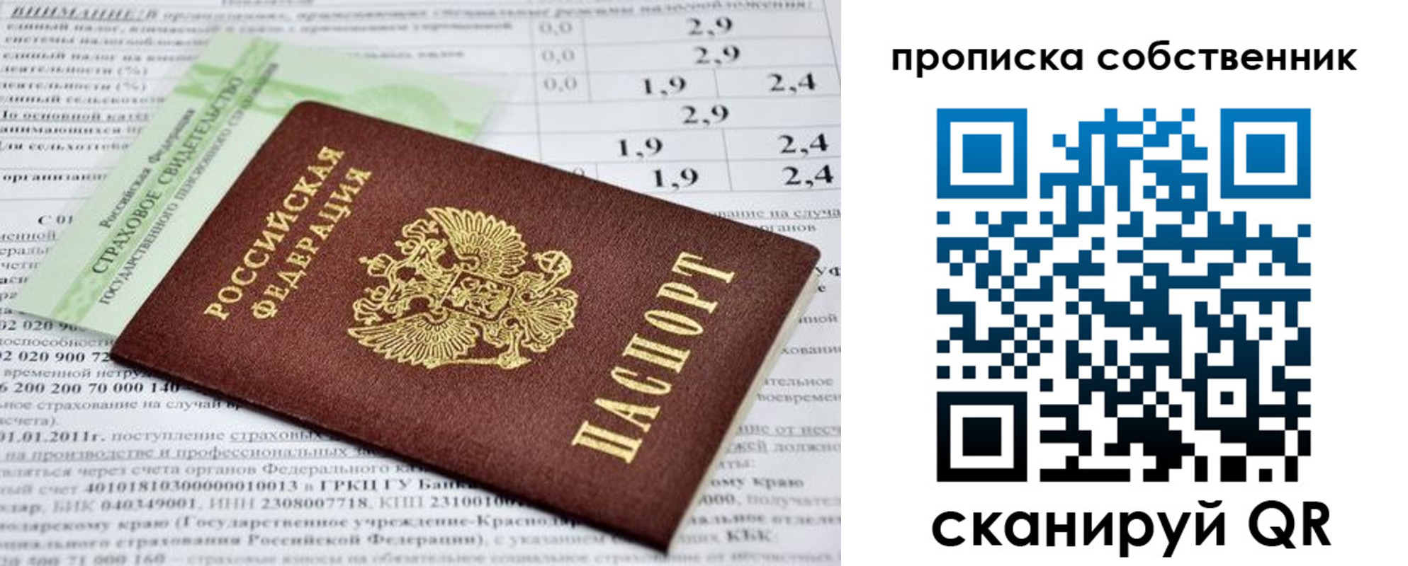 прописка 2025 в Брянской области